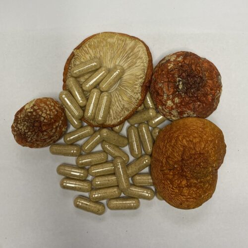 058B4DED-1C8A-43BA-8