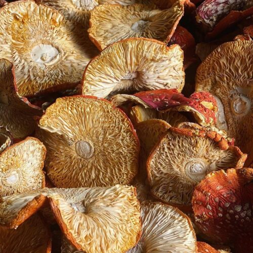 2B7DC039-92F5-48AF-9