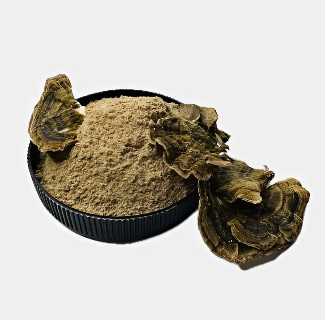 59862874.jpg Траметес різнокольоровий мелений