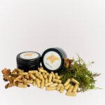 Лисичка в капсулах