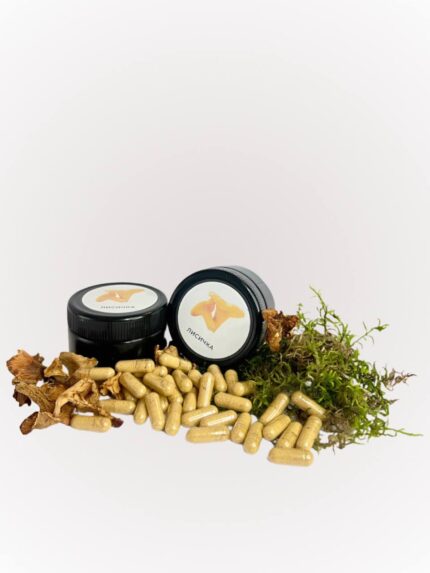 Лисичка в капсулах