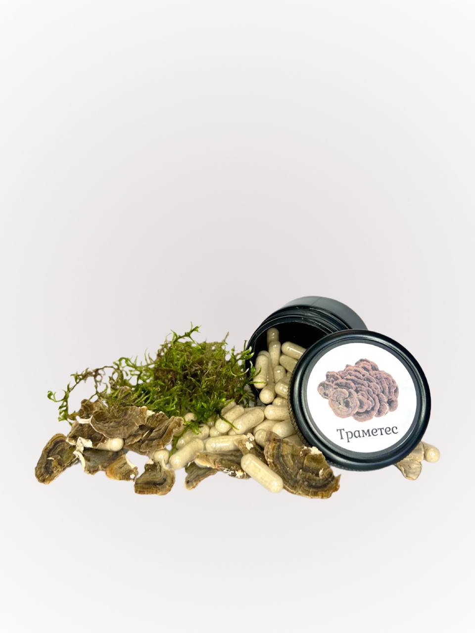 74173316.jpg Траметес різнокольоровий в капсулах