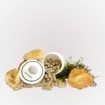 купити Їжовик гребінчастий в капсулах