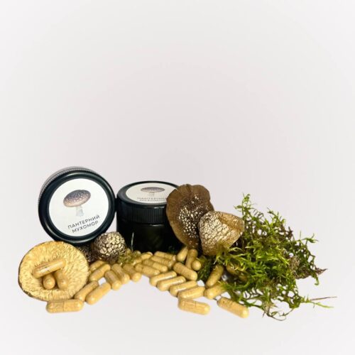 Купити пантерний мухомор в капсулах