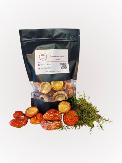 Закриті капелюшки червоного мухомора — ідеальний продукт для мікродозингу та відновлення емоційного балансу.