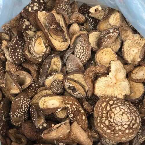 A4C2157C-C80D-4F0B-9