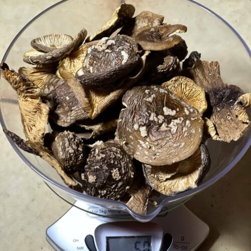 A604F07B-B11F-4B2A-8