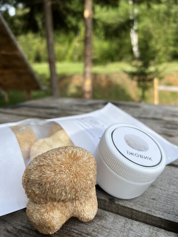 мікродозинг їжовик гребінчастий плодові тіла