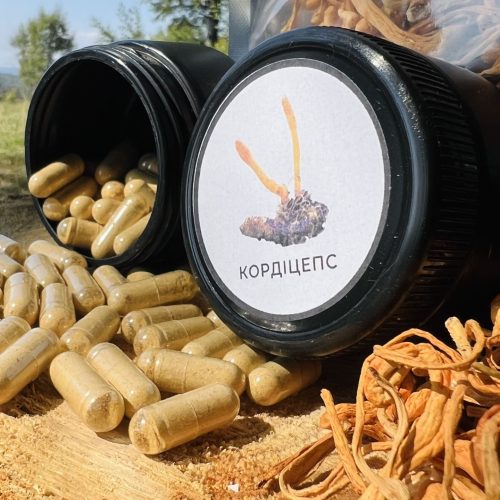 Кордіцепс в капсулах