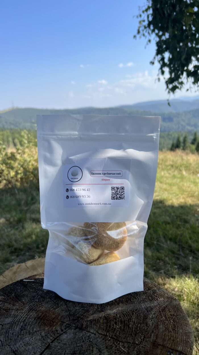 Їжовик гребінчастий цілі плодові тіла