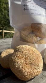 цілі плодові тіла їжовика гребінчастого