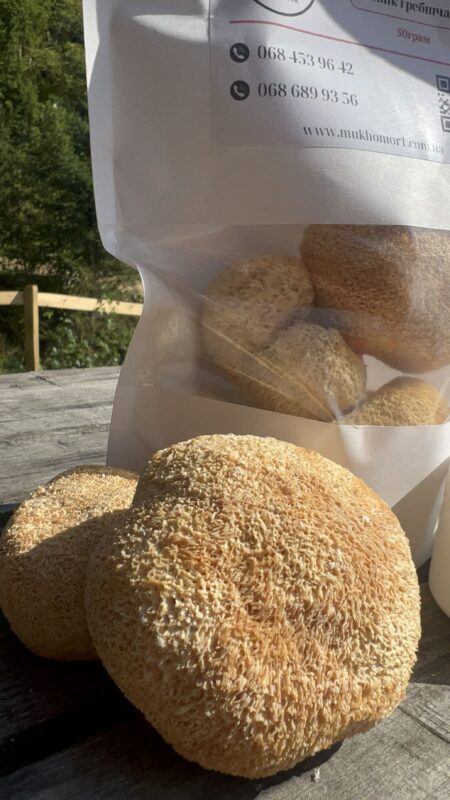 цілі плодові тіла їжовика гребінчастого