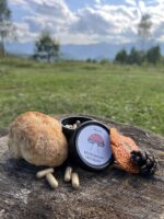 мікс червоний мухомор та їжовик гребінчастий