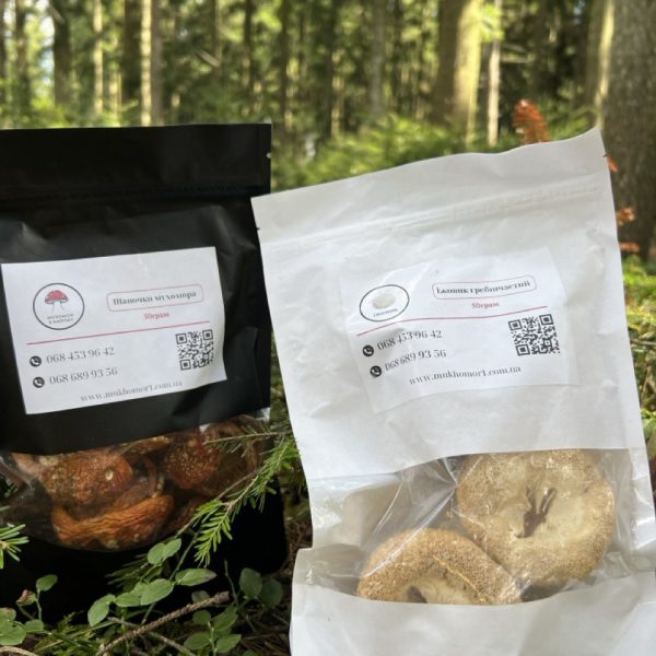 photo_2024-11-05_19- (1)