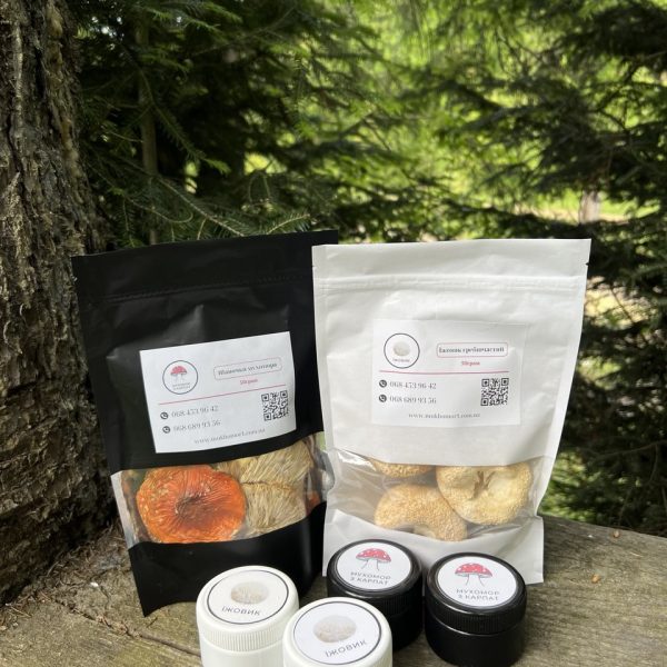 photo_2024-11-05_19-