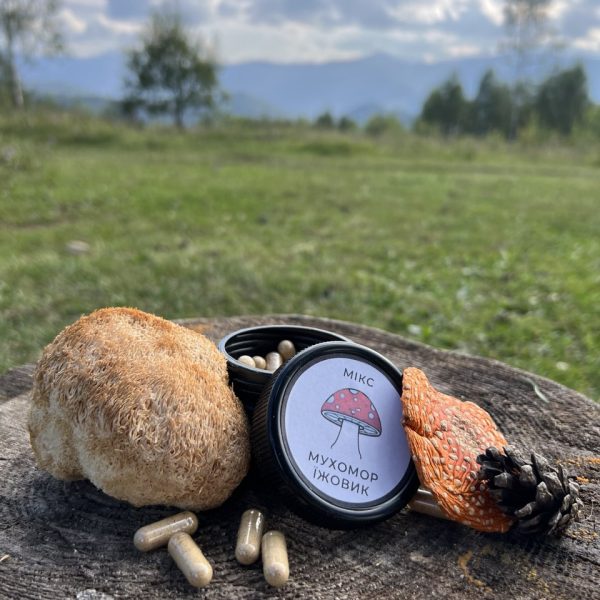 photo_2024-11-05_19- (2)