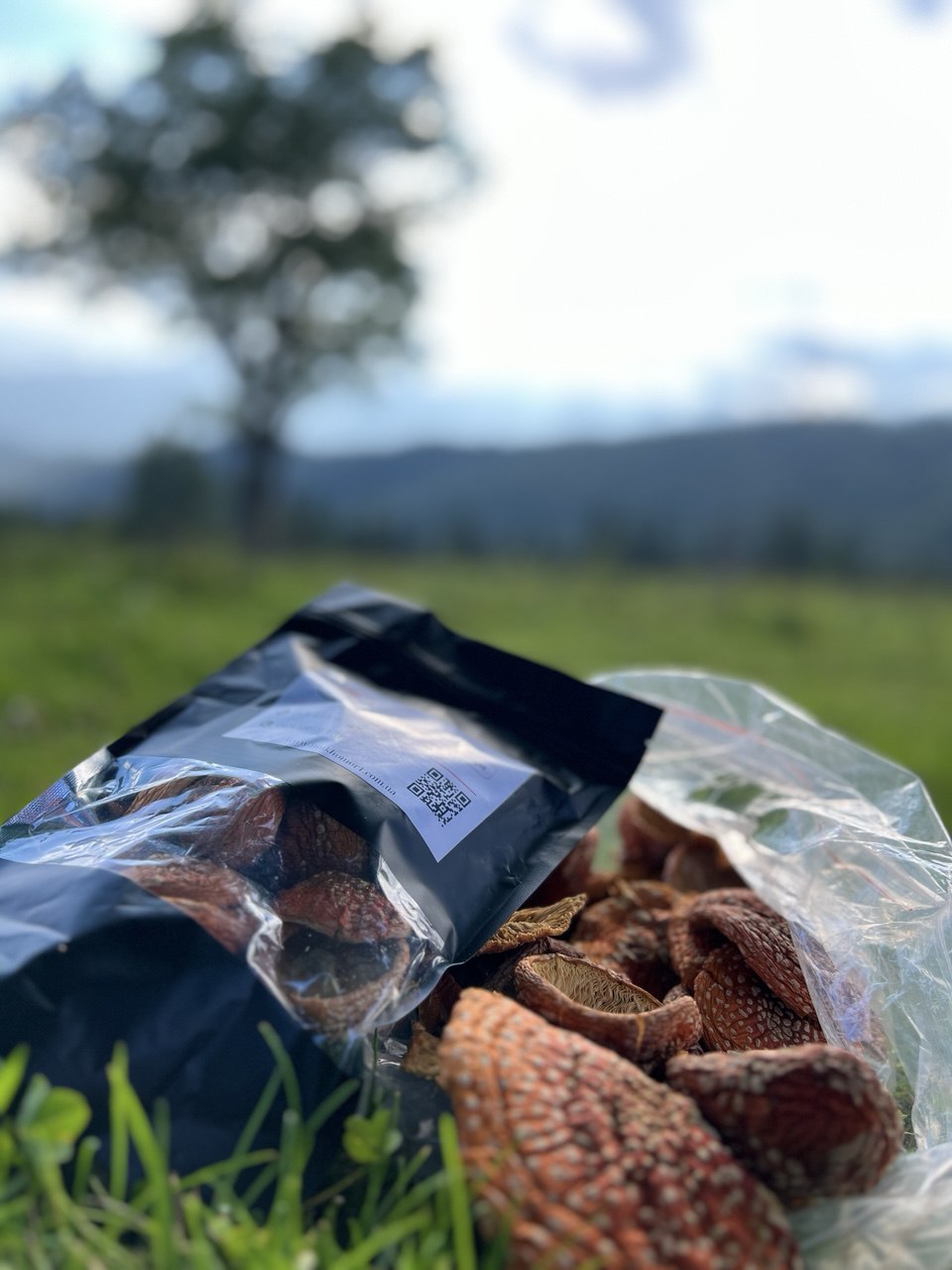 продукт мікродозингу мухомора для внутрішнього вживання