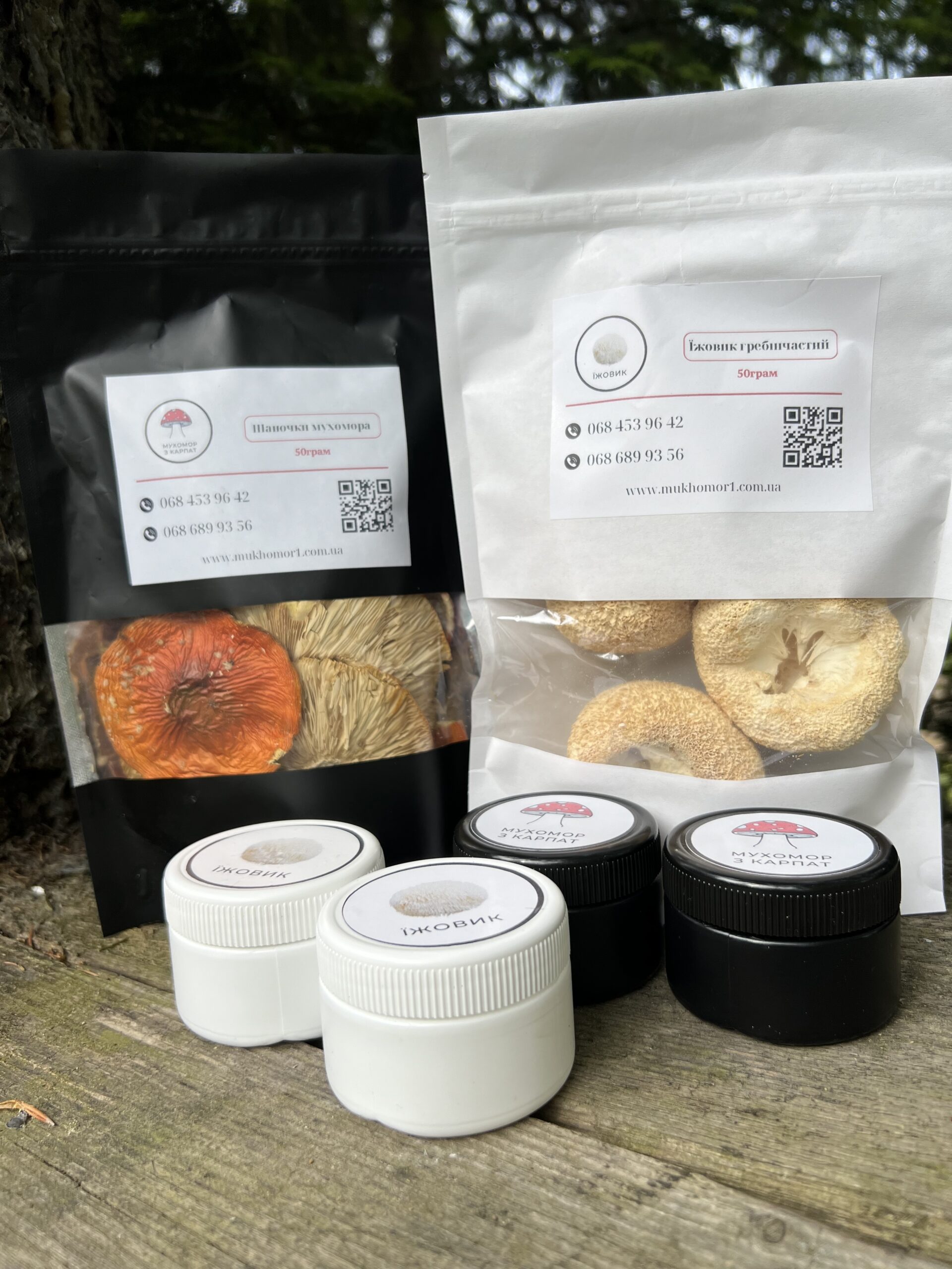 мікродозинг грибів червоний мухмор та їжовик