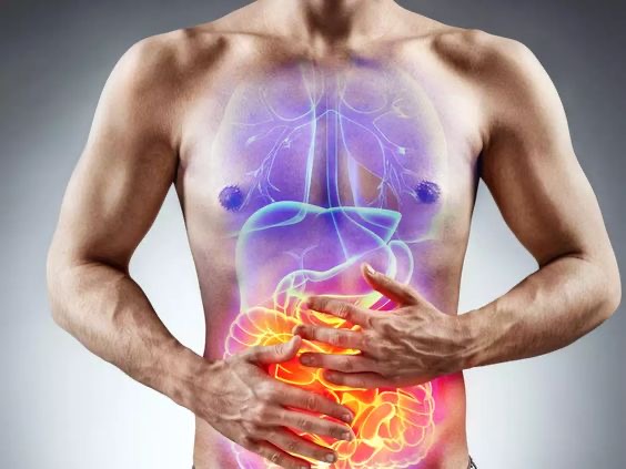 паразити в організмі людини