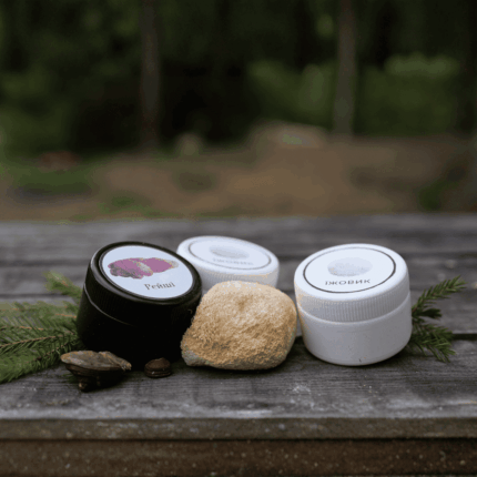 рейші та їжовик гребінчастий в капсулах