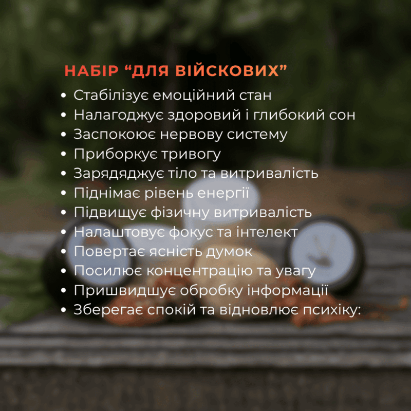 червоний мухомор Їжовик та кордіцепс війсковий в капсулах